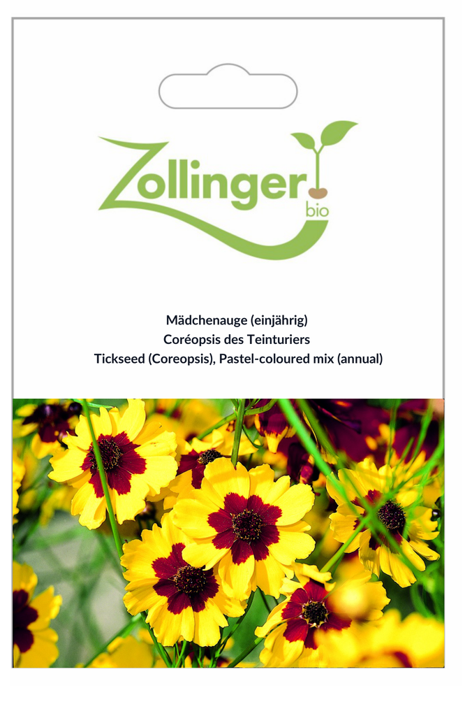 Sachet recto Coréopsis des Teinturiers