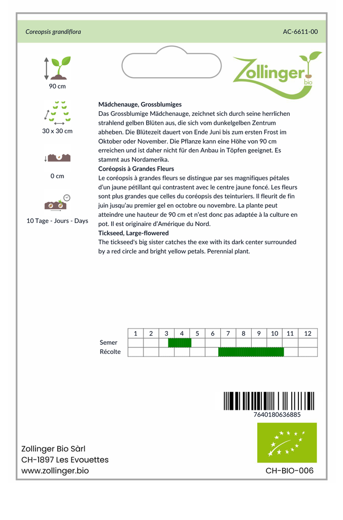 Sachet recto Coréopsis à Grandes Fleurs