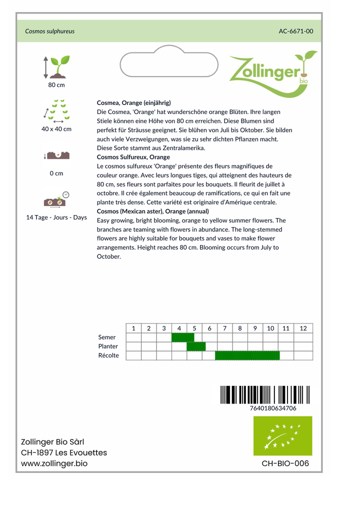 Sachet recto Cosmos Sulfureux, Orange