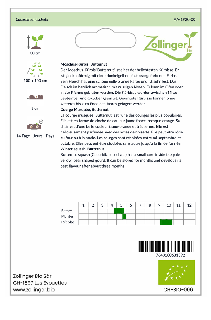 Sachet recto Courge Musquée, Butternut