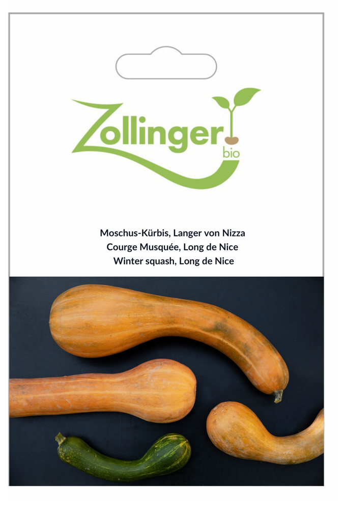 Sachet recto Courge Musquée, Long de Nice