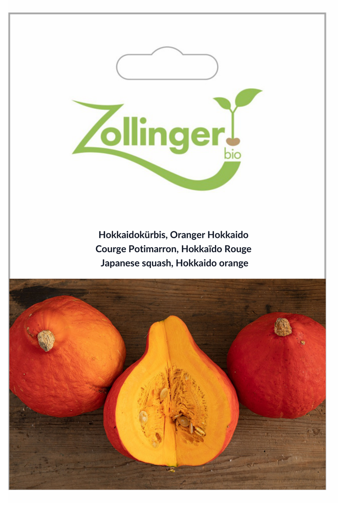 Sachet recto Courge Potimarron, Hokkaïdo Rouge