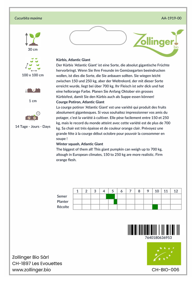 Sachet recto Courge Potiron, Atlantic Giant