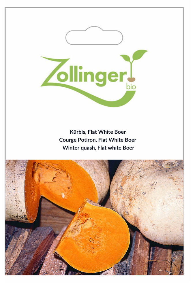 Sachet recto Courge Potiron, Flat White Boer