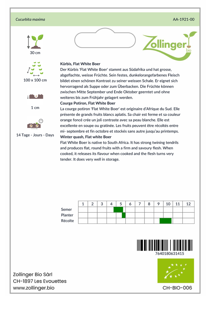 Sachet recto Courge Potiron, Flat White Boer