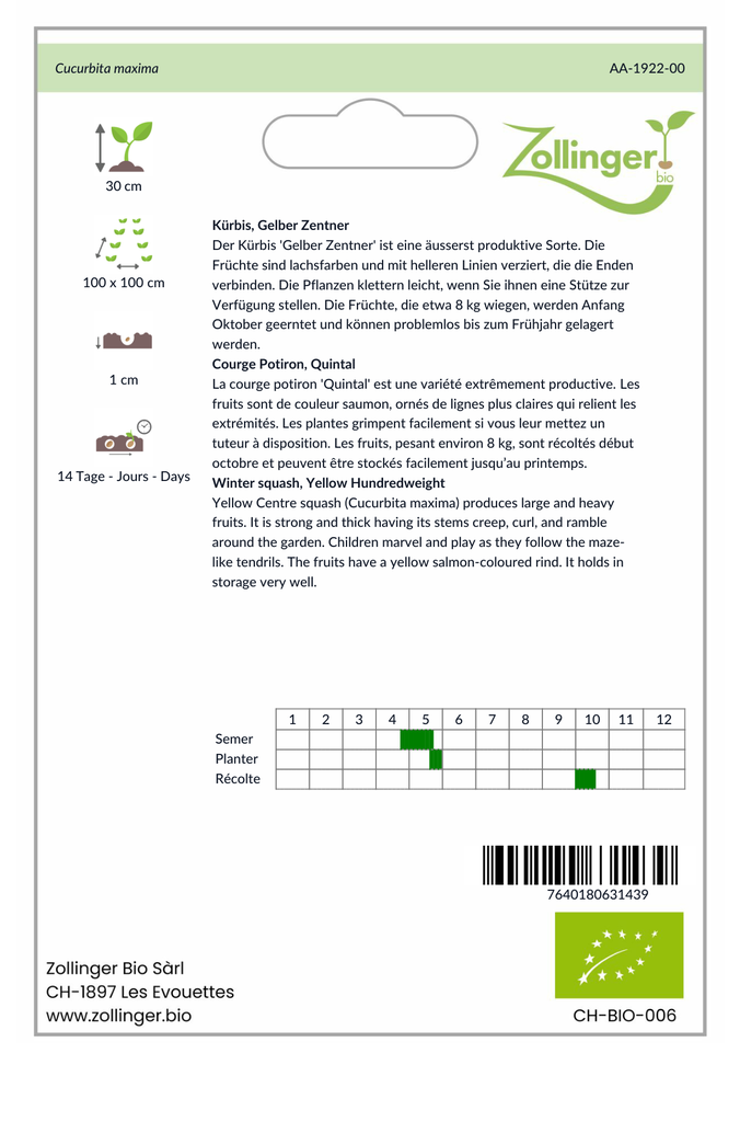 Sachet recto Courge Potiron, Quintal