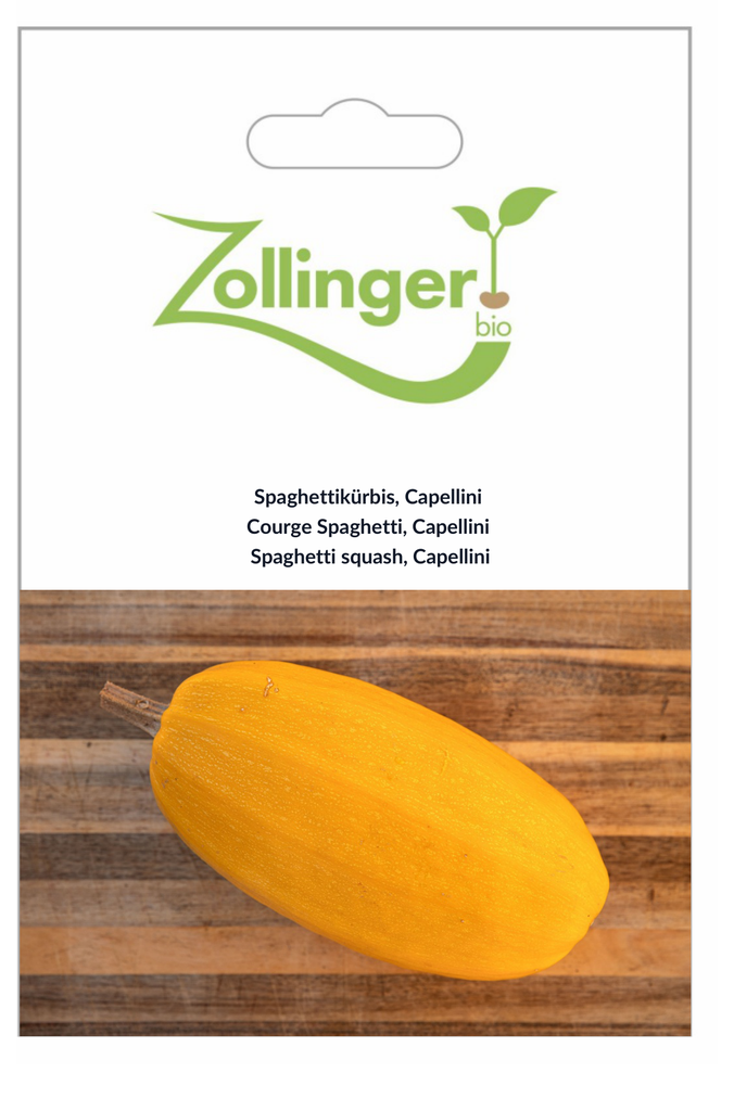 Sachet recto Courge Spaghetti, Capellini