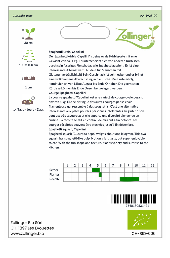 Sachet recto Courge Spaghetti, Capellini