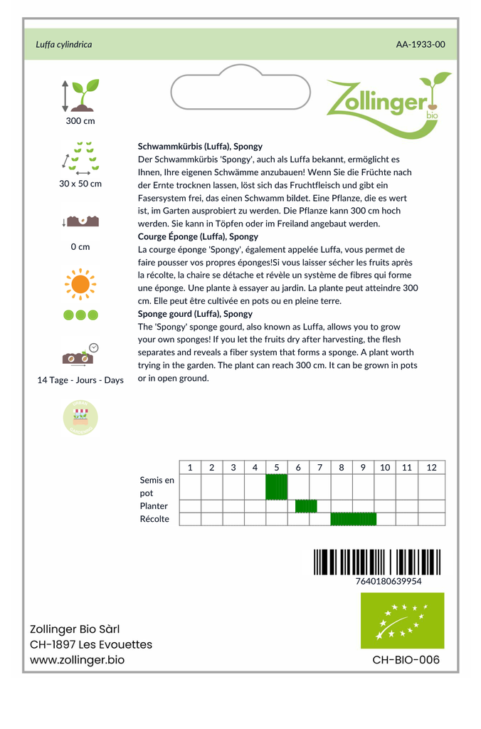Sachet recto Courge Éponge (Luffa), Spongy