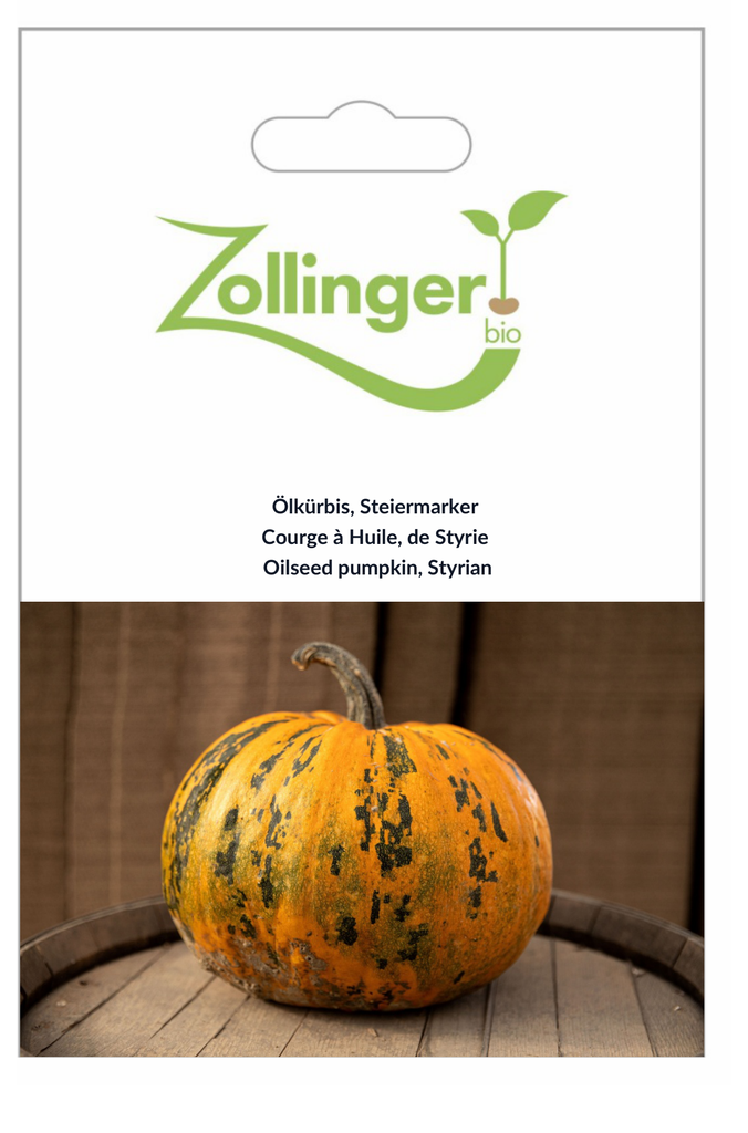 Sachet recto Courge à Huile, de Styrie