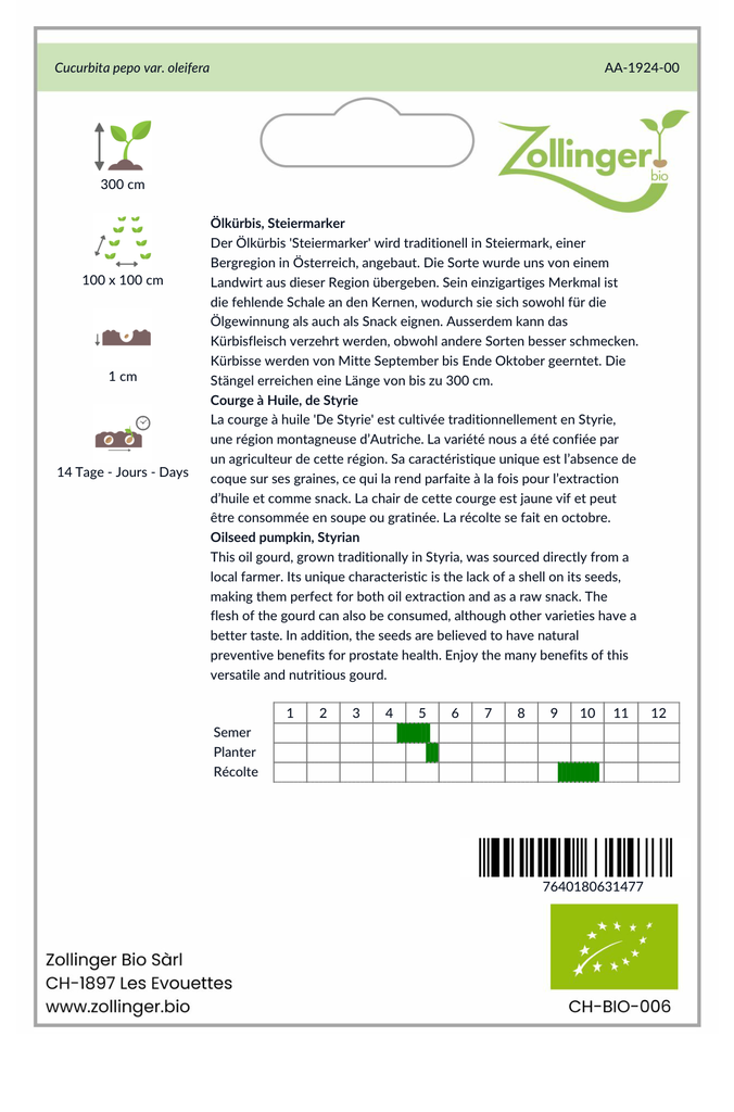 Sachet recto Courge à Huile, de Styrie