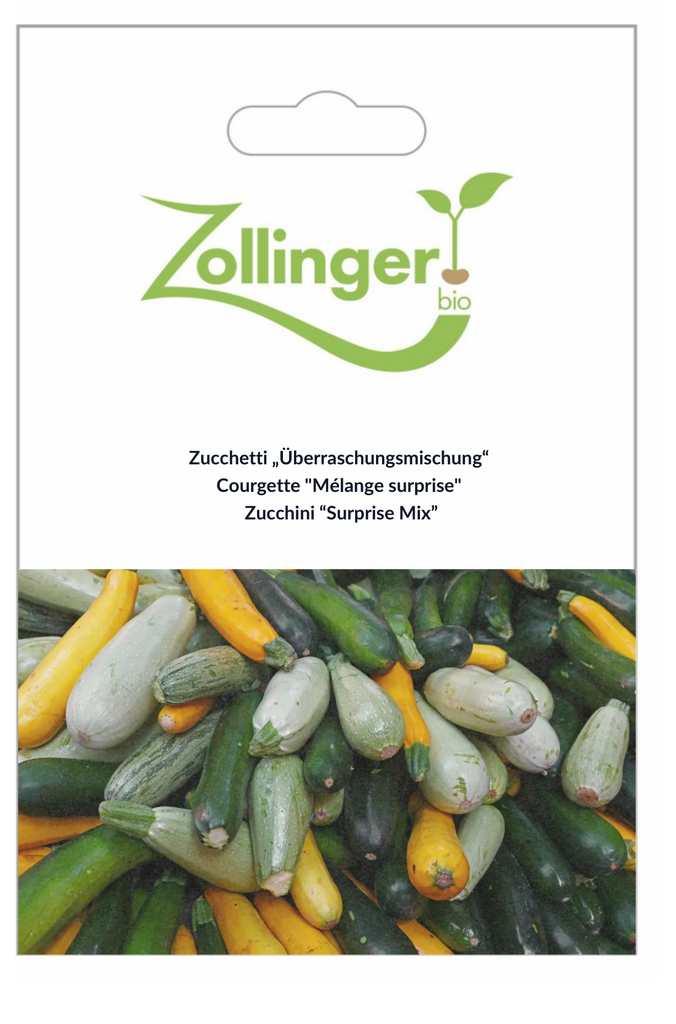 Sachet recto Courgette "Mélange surprise"