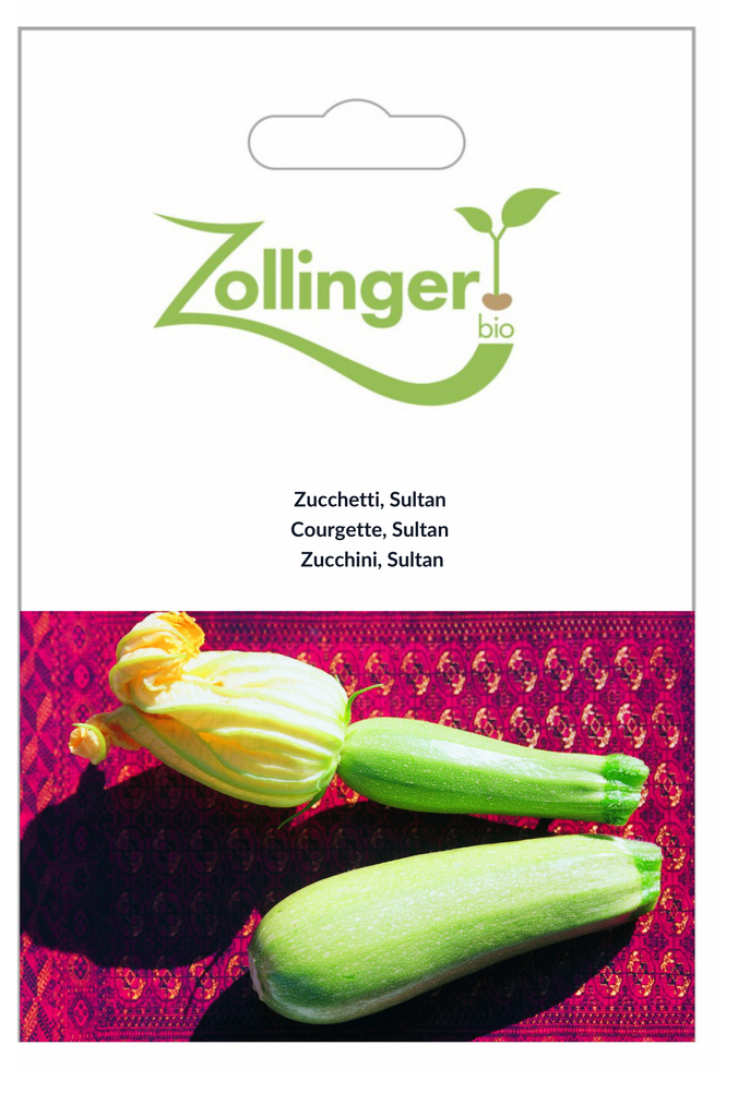 Sachet recto Courgette, Sultan