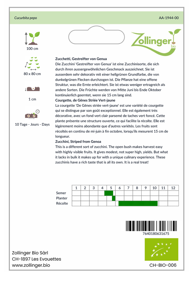Sachet recto Courgette, de Gênes Striée Vert-jaune