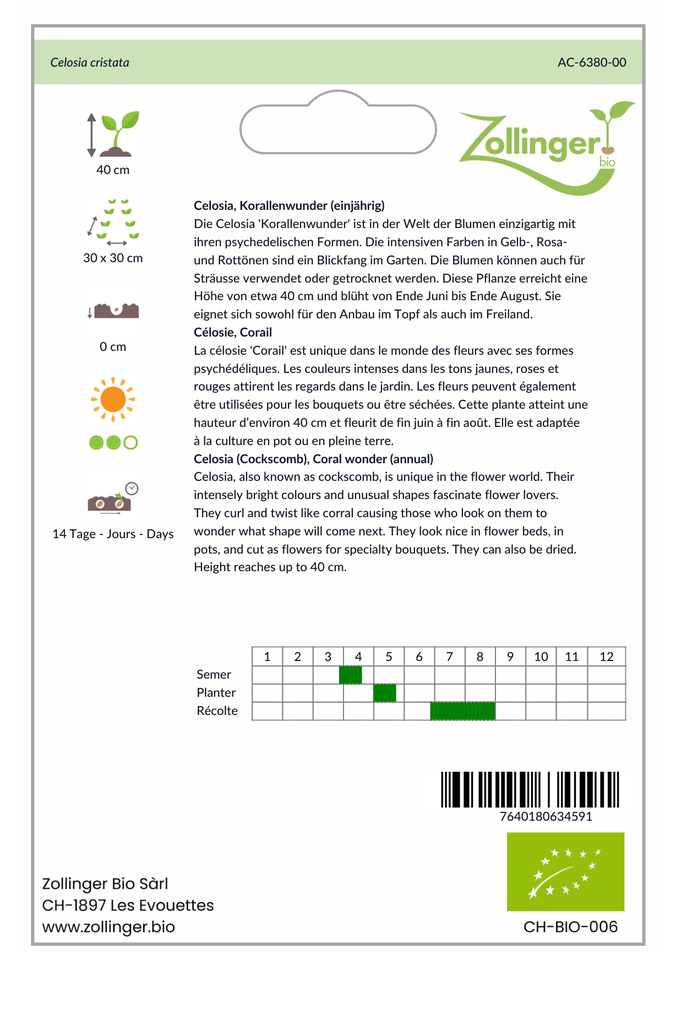 Sachet recto Célosie, Corail