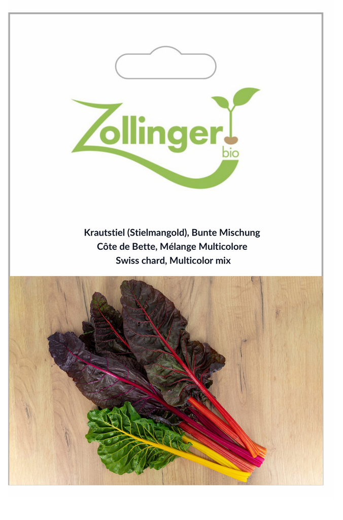 Sachet recto Côte de Bette, Mélange Multicolore