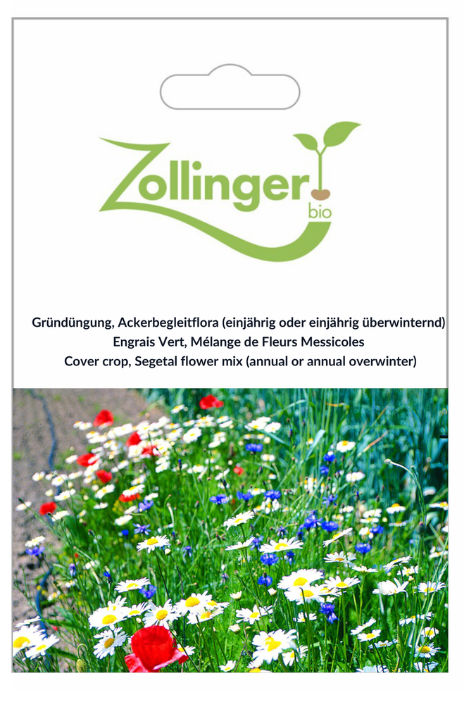 Sachet recto Engrais Vert, Mélange de Fleurs Messicoles