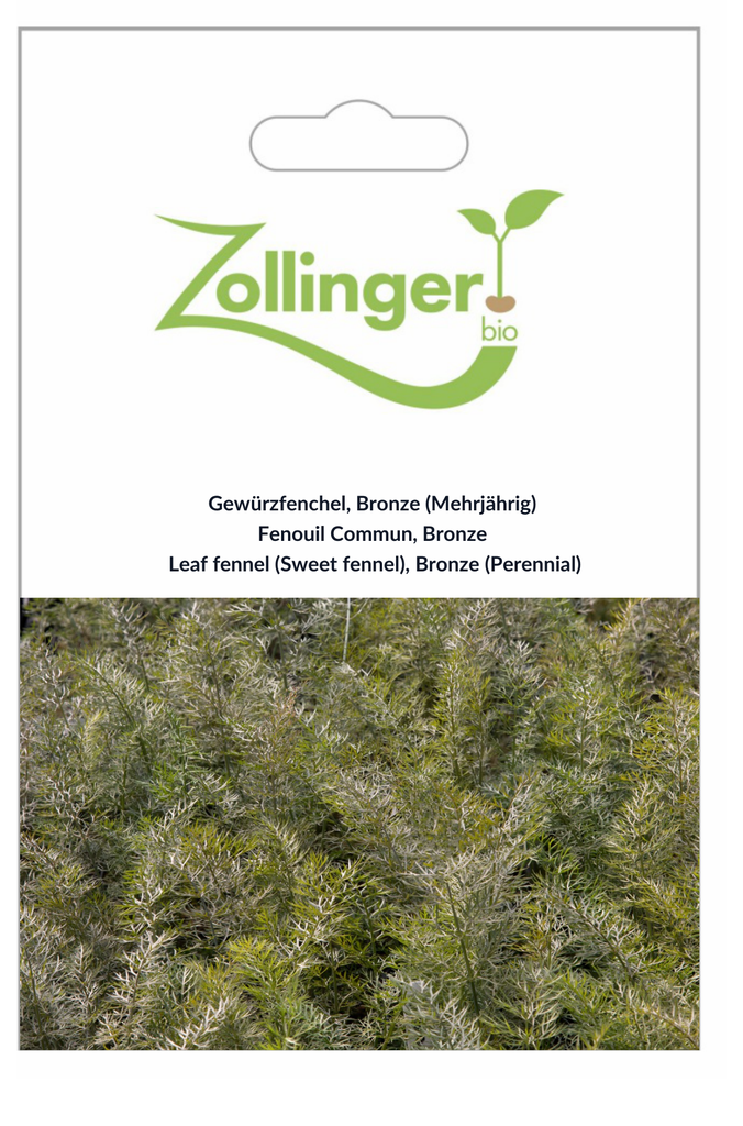 Sachet recto Fenouil Commun, Bronze