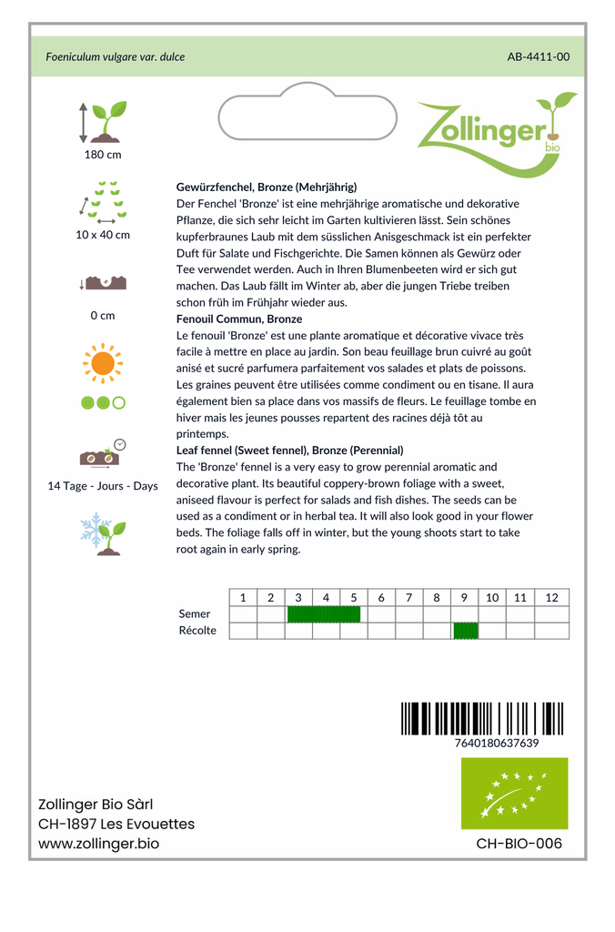 Sachet recto Fenouil Commun, Bronze