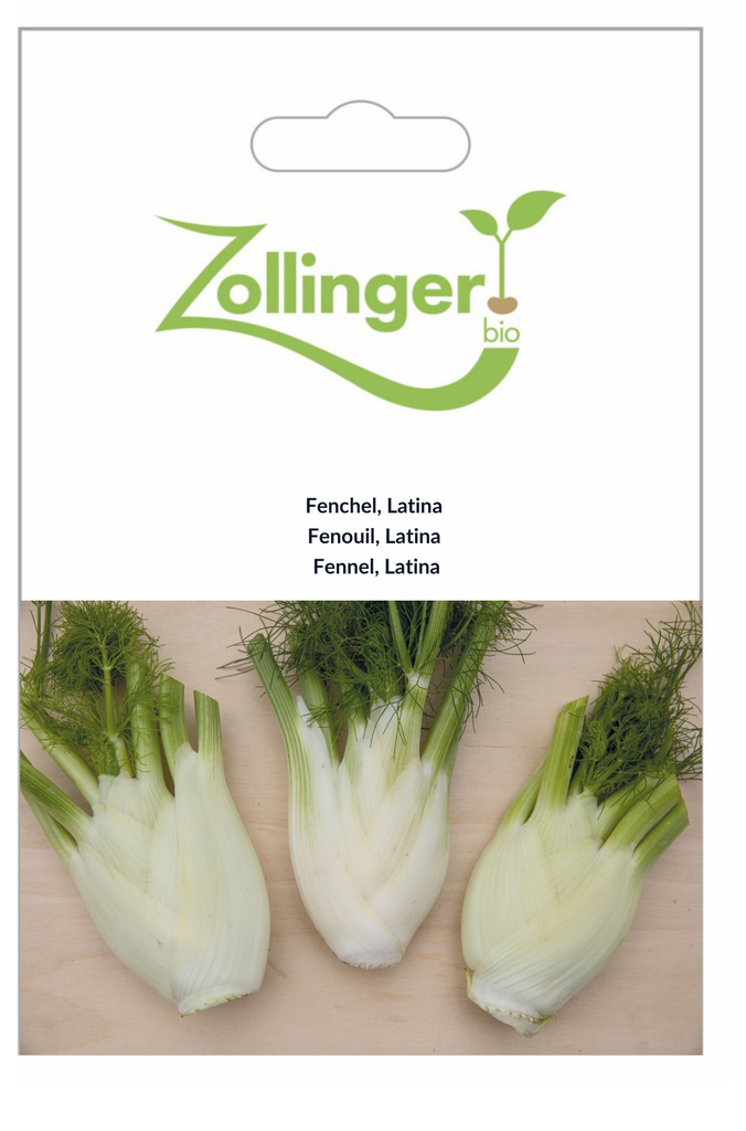 Sachet recto Fenouil, Latina