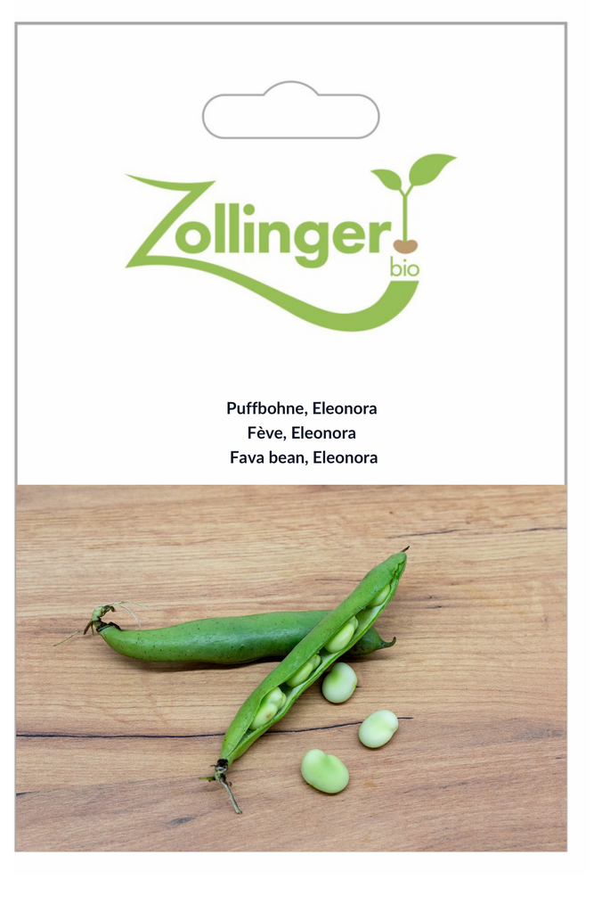 Sachet recto Fève, Eleonora