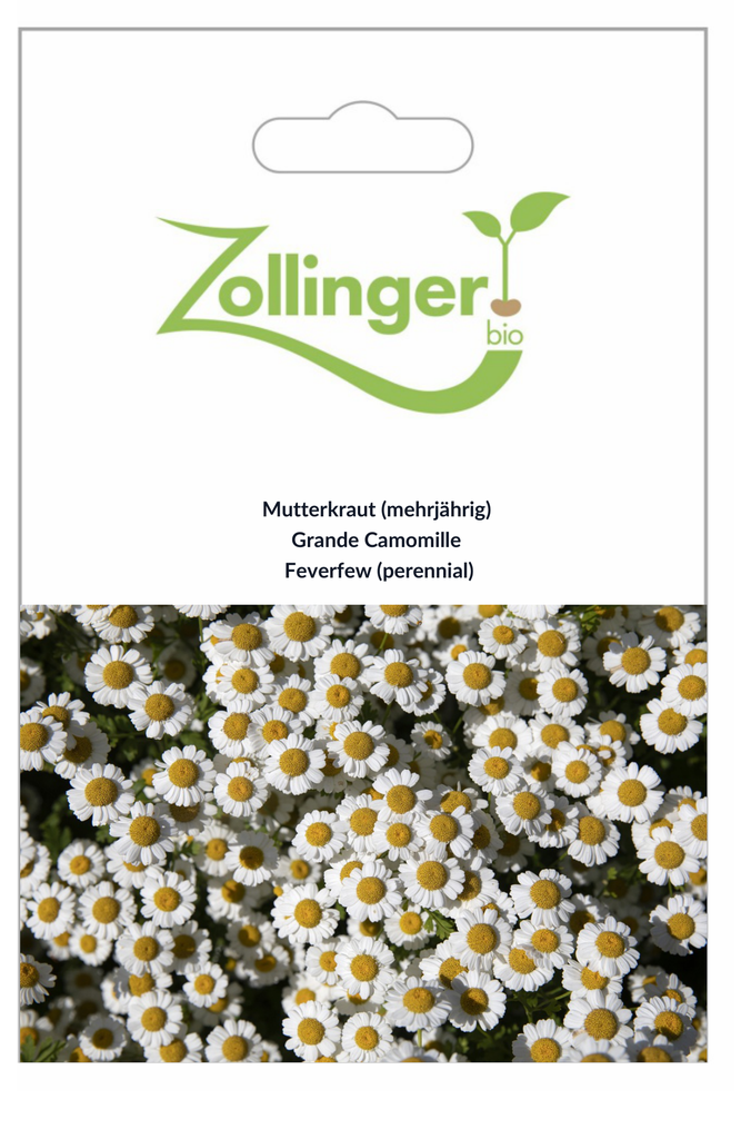 Sachet recto Grande Camomille