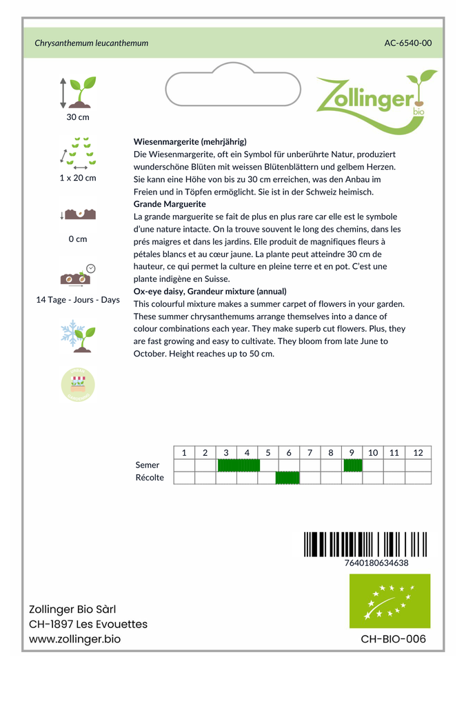 Sachet recto Grande Marguerite