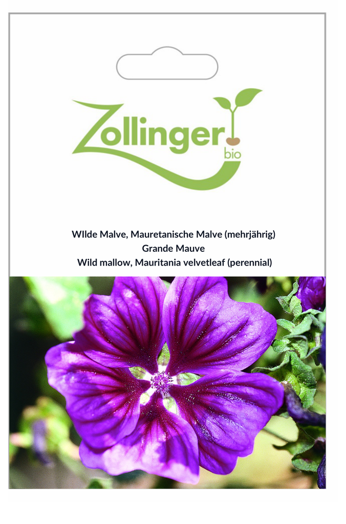 Sachet recto Grande Mauve