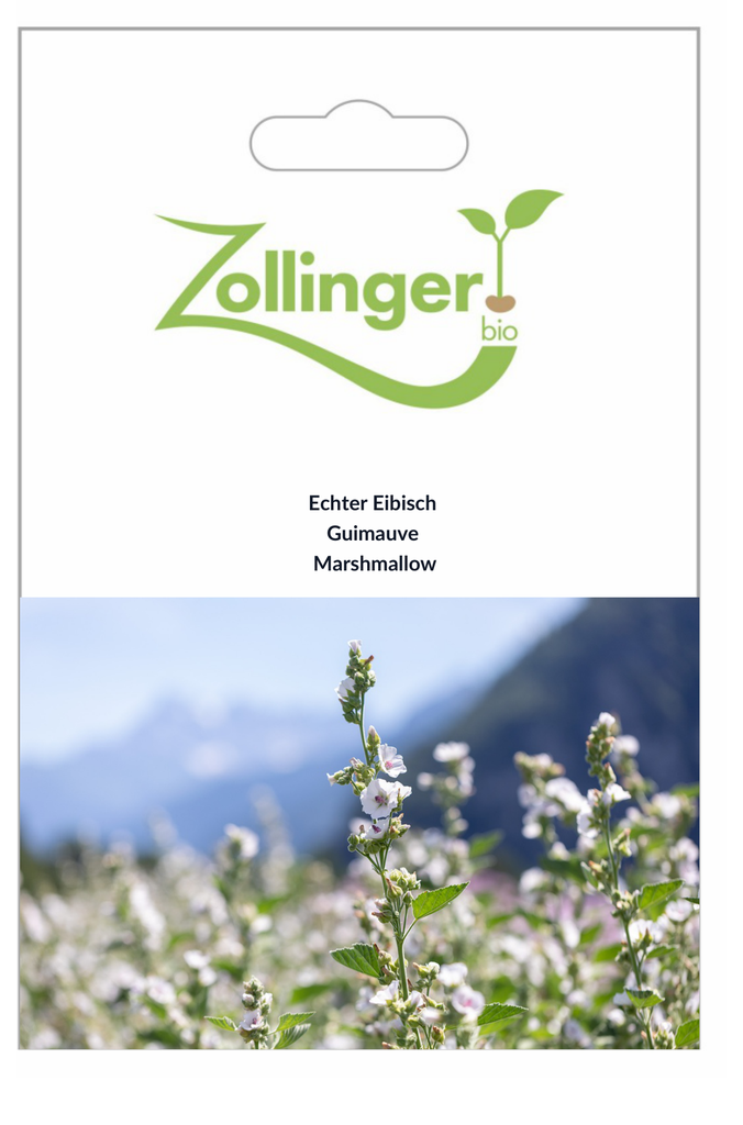 Sachet recto Guimauve