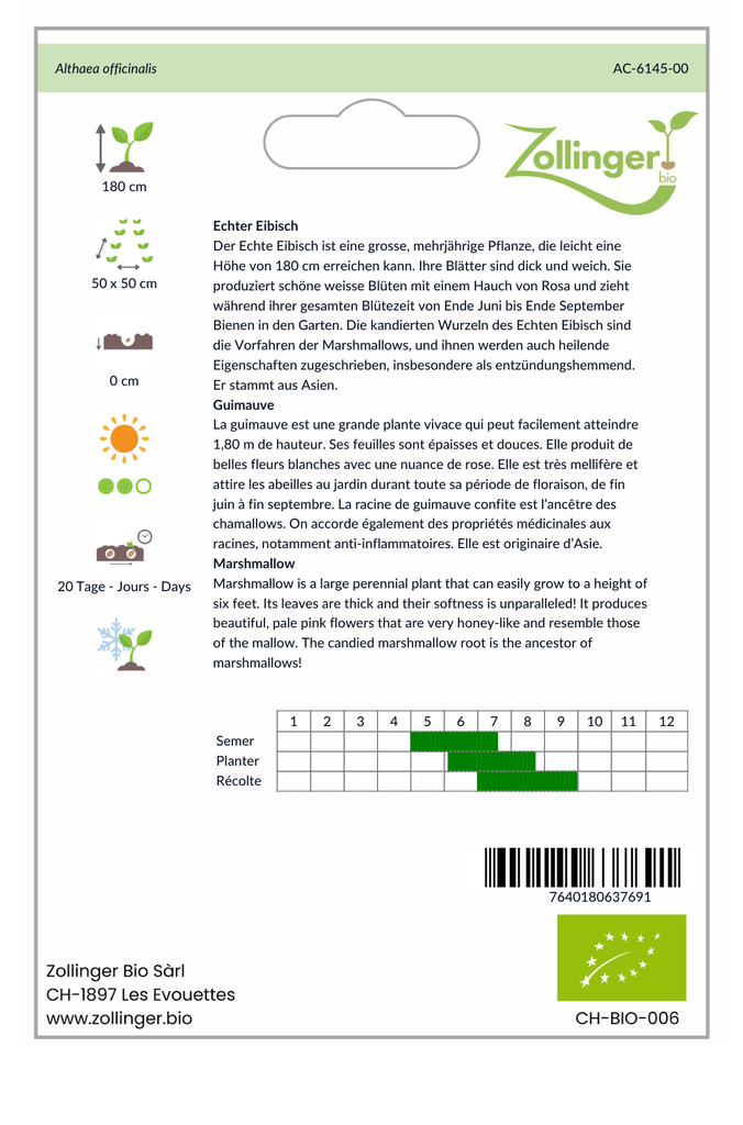 Sachet recto Guimauve