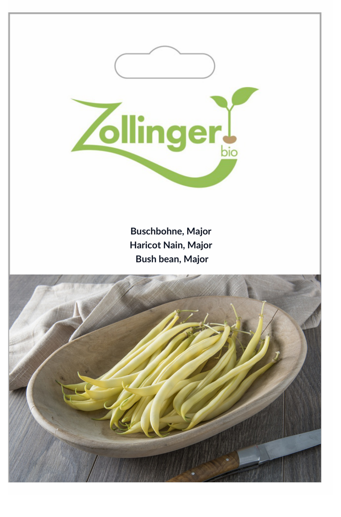 Sachet recto Haricot Nain, Major