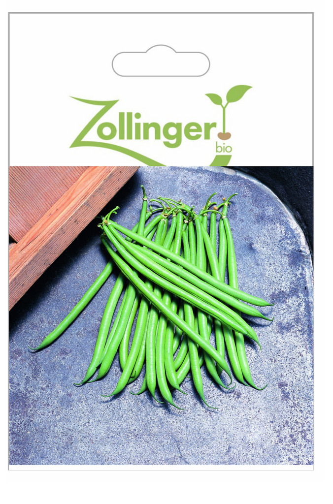 Sachet recto Haricot Nain, Pongo