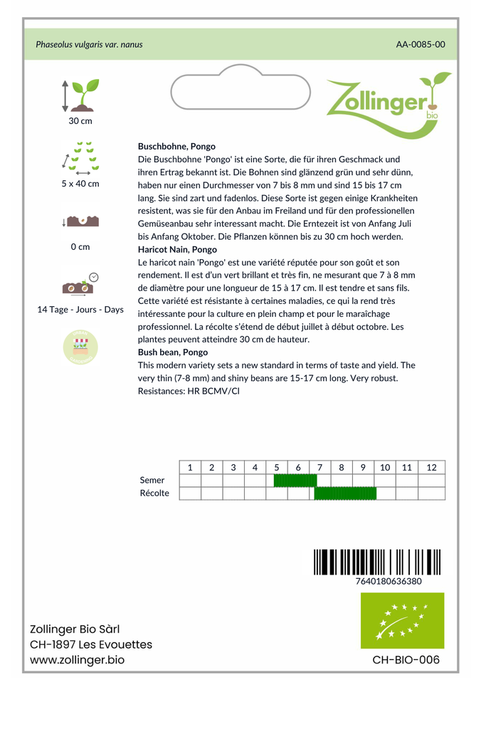 Sachet recto Haricot Nain, Pongo