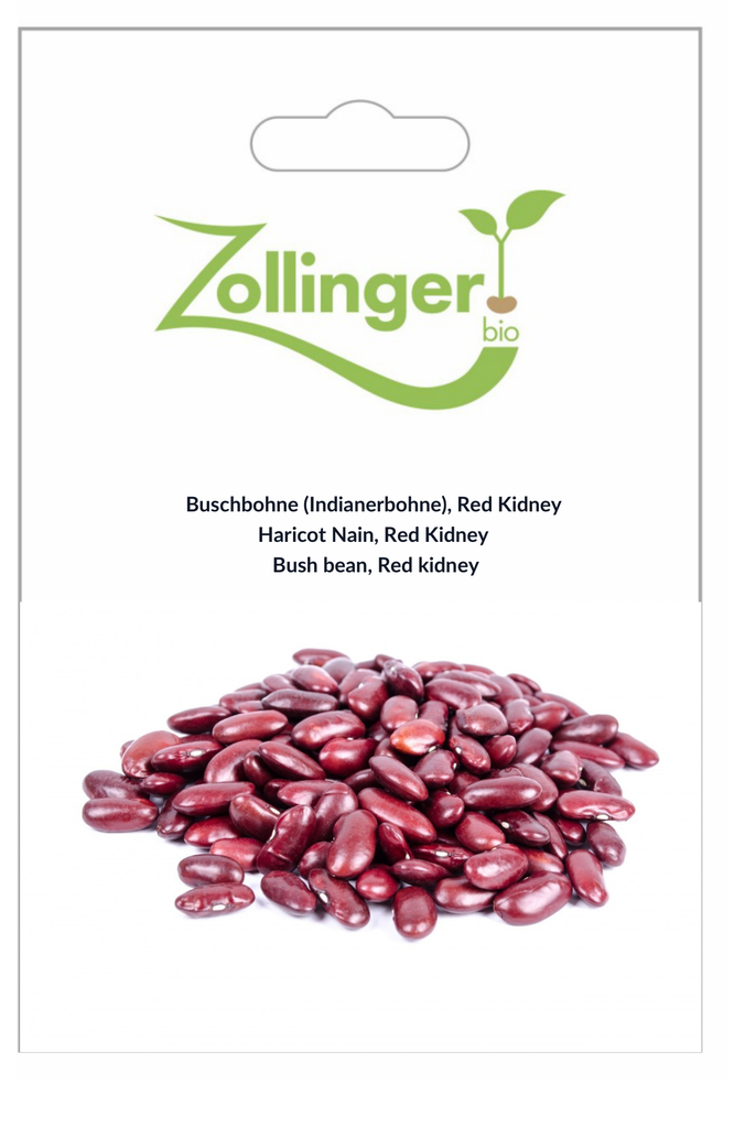 Sachet recto Haricot Nain, Red Kidney