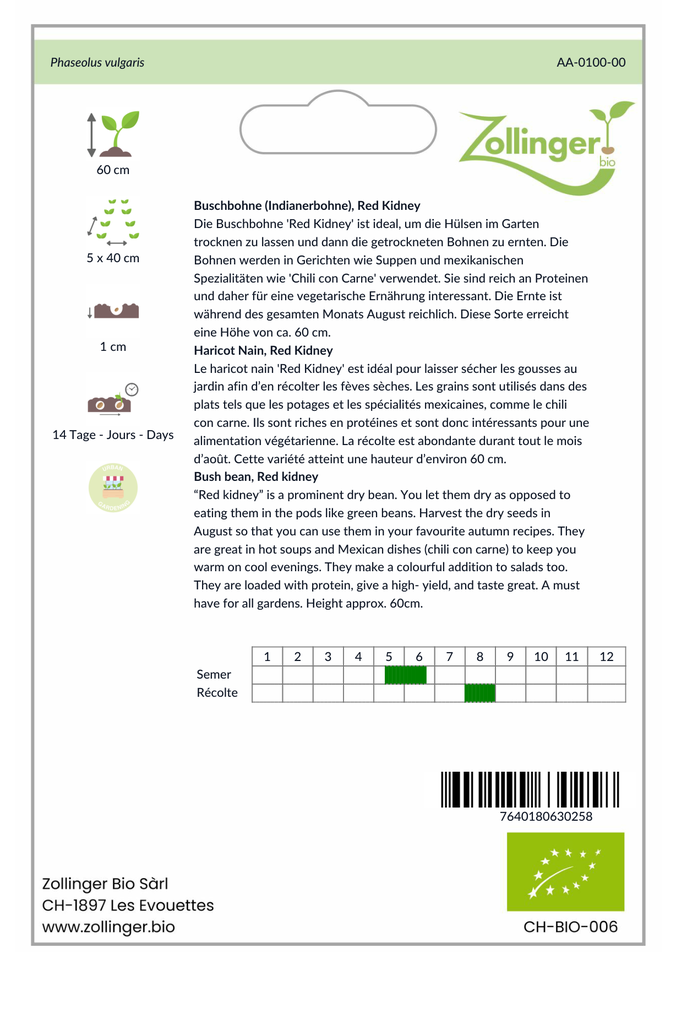 Sachet recto Haricot Nain, Red Kidney