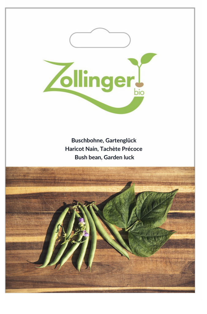 Sachet recto Haricot Nain, Tachète Précoce