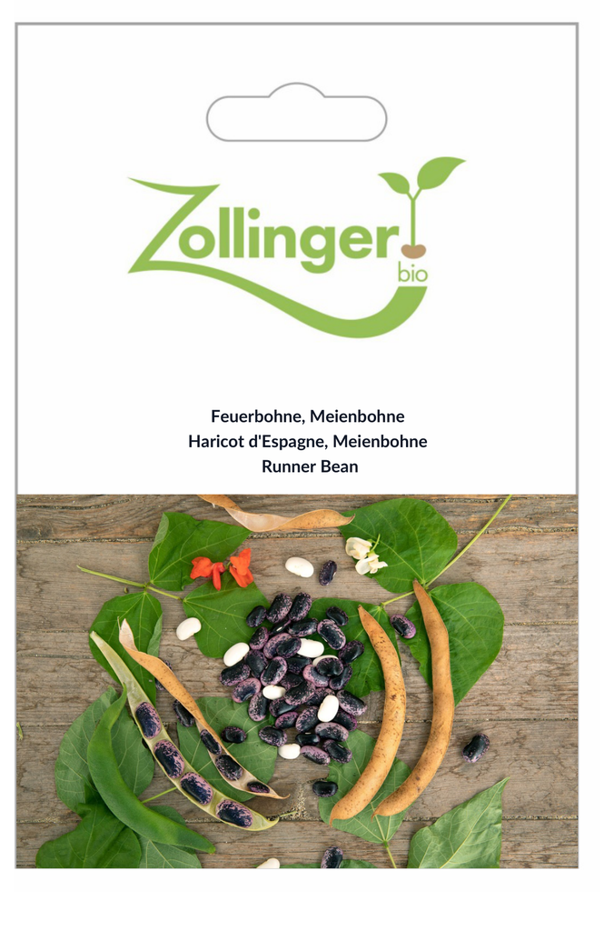 Sachet recto Haricot d'Espagne, Meienbohne