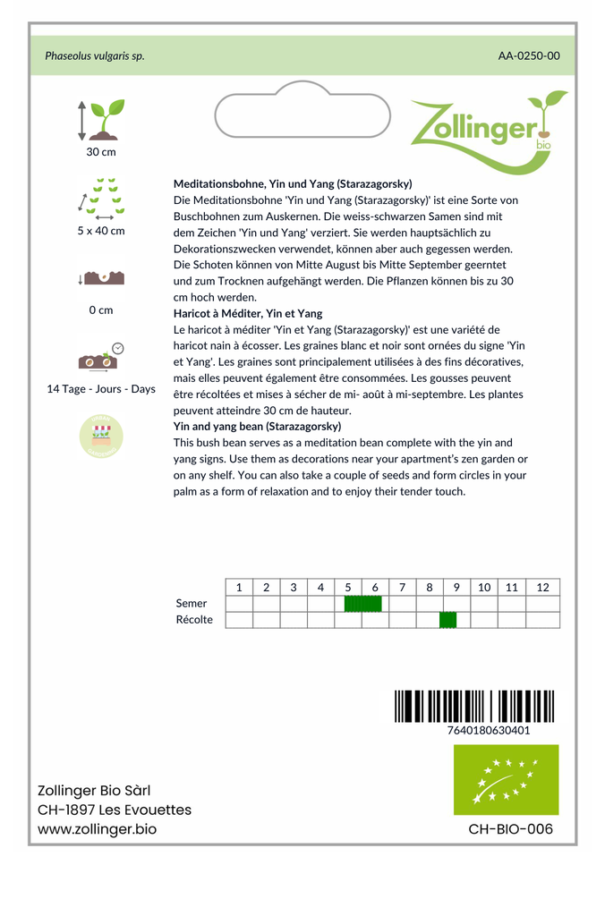 Sachet recto Haricot à Méditer, Yin et Yang