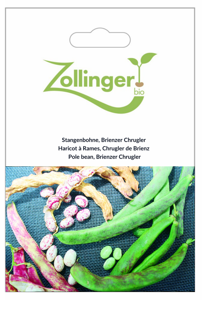 Sachet recto Haricot à Rames, Chrugler de Brienz