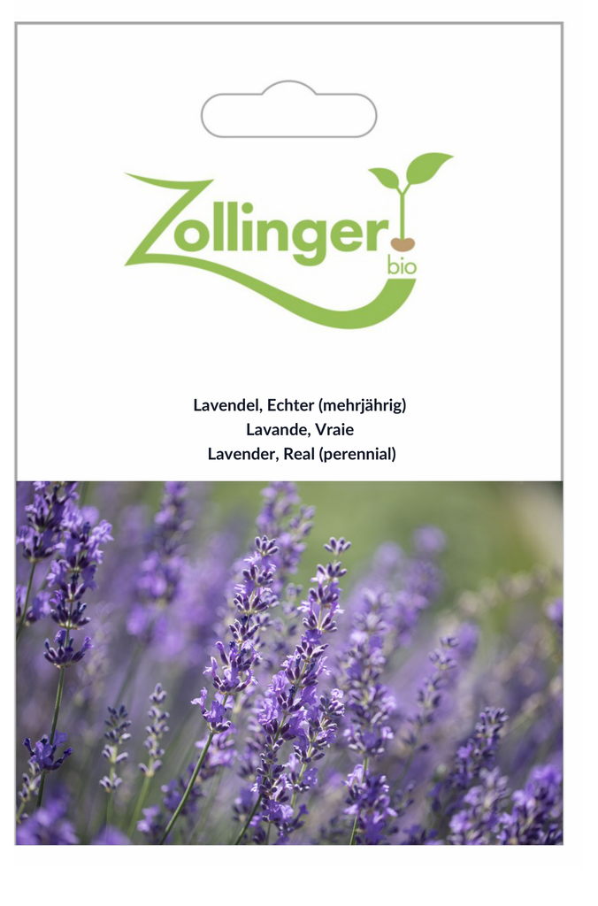 Sachet recto Lavande, Vraie