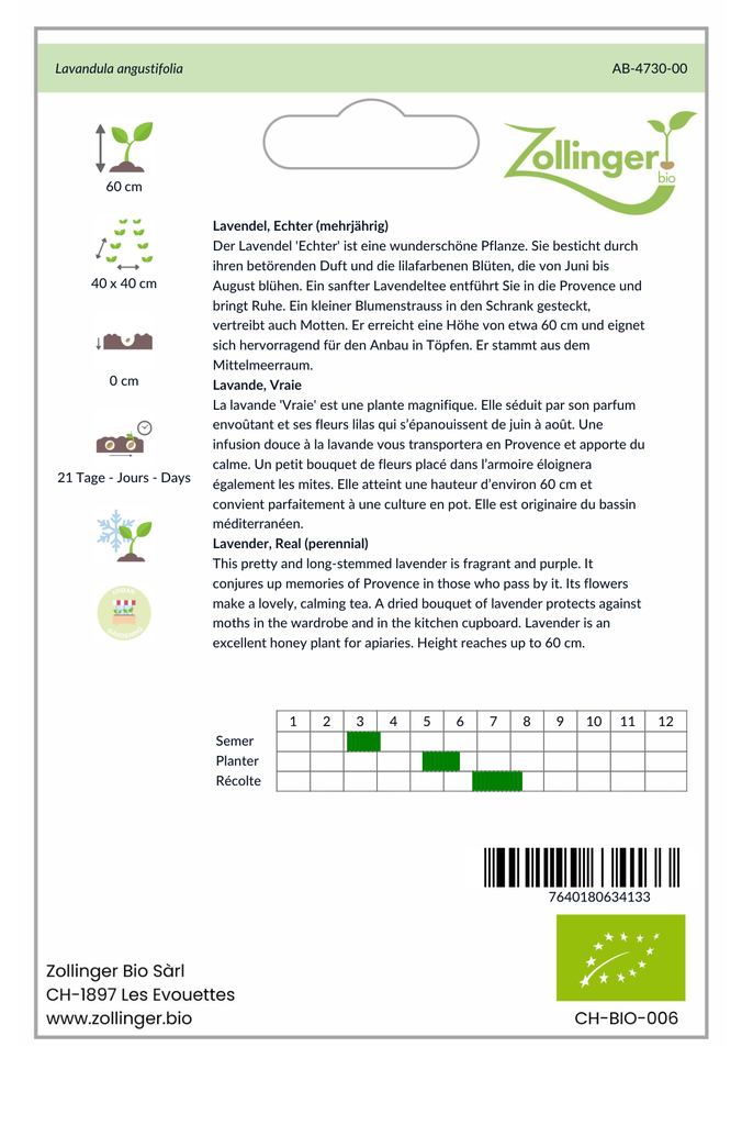 Sachet recto Lavande, Vraie