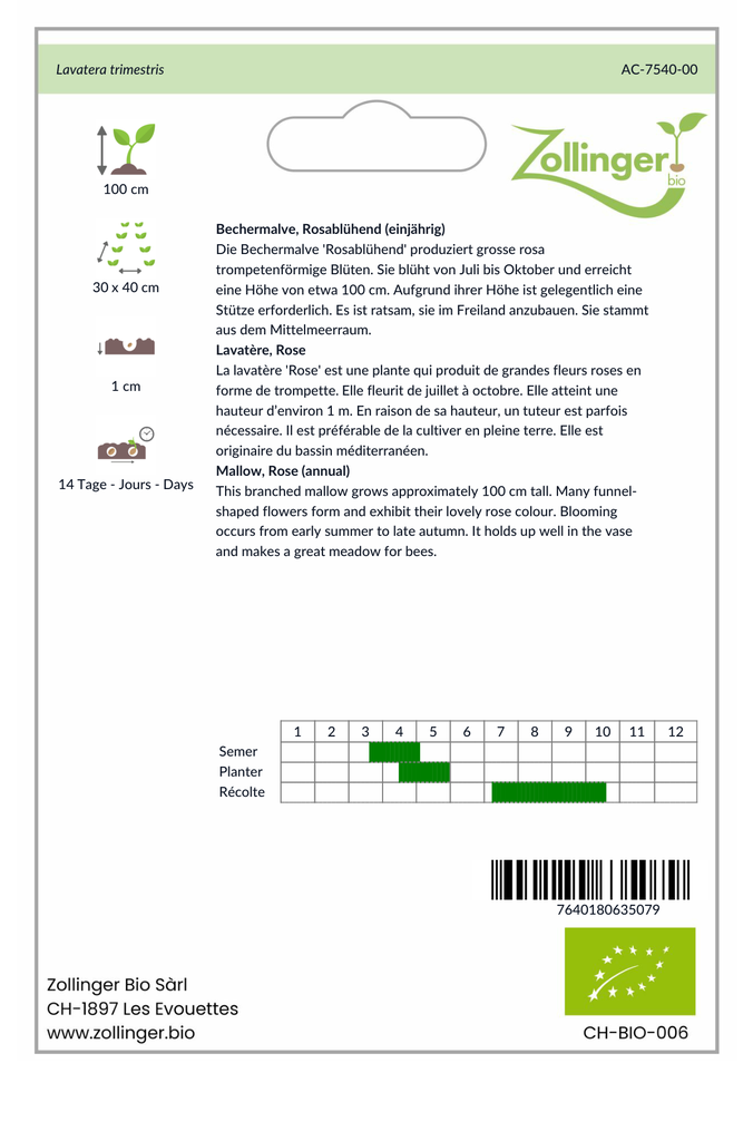 Sachet recto Lavatère, Rose