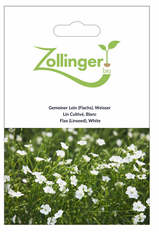 Sachet recto Lin Cultivé, Blanc