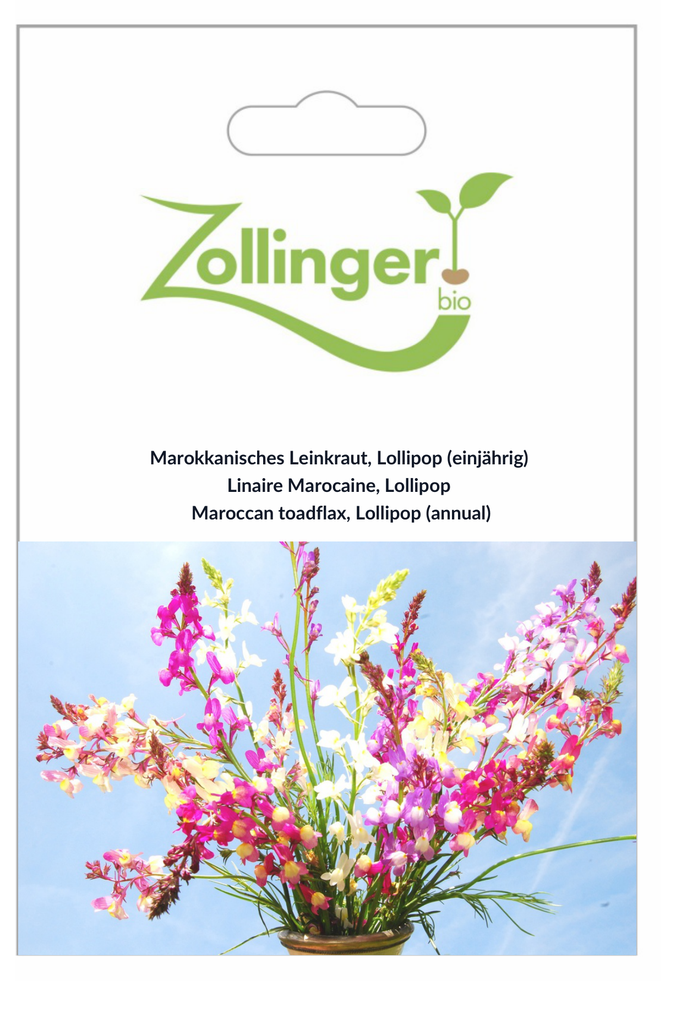 Sachet recto Linaire Marocaine, Lollipop