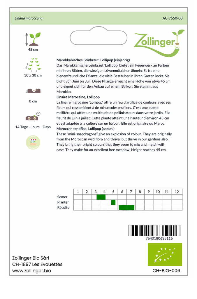 Sachet recto Linaire Marocaine, Lollipop