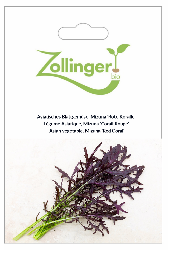 Sachet recto Légume Asiatique, Mizuna 'Corail Rouge'