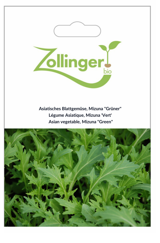 Sachet recto Légume Asiatique, Mizuna 'Vert'