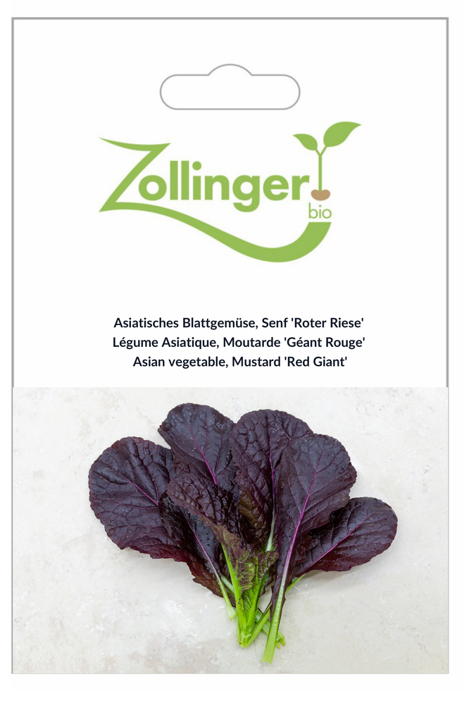 Sachet recto Légume Asiatique, Moutarde 'Géant Rouge'