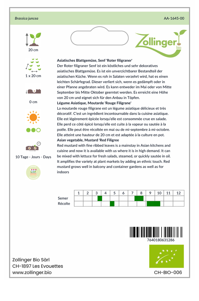 Sachet recto Légume Asiatique, Moutarde 'Rouge Filigrane'