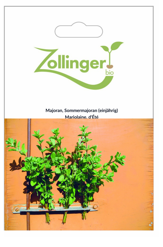 Sachet recto Marjolaine, d'Été